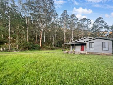 Lifestyle For Sale - NSW - Laguna - 2325 - Modern Country Lifestyle  (Image 2)