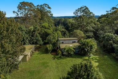 House Sold - NSW - Possum Creek - 2479 - Opportunity to renovate or build in amazing Possum Creek  (Image 2)