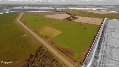 Cropping Sold - NSW - Myall Park - 2681 - " THORNWYRAN" - BROAD ACRE & IRRIGATION PROPERTY  (Image 2)