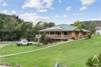 House For Sale - TAS - Derby - 7264 - Opportunity Awaits!  (Image 2)