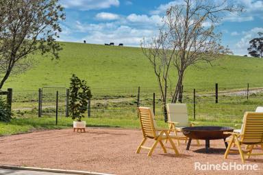 House For Sale - NSW - Fitzroy Falls - 2577 - Classic Country Lifestyle Plus Income - The Best of Both Worlds!  (Image 2)