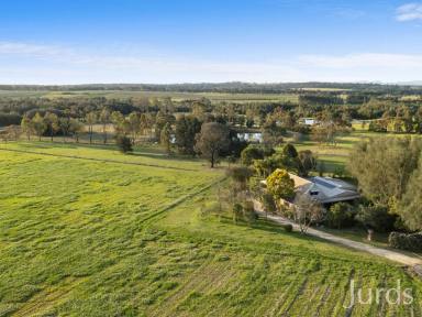 Lifestyle For Sale - NSW - Pokolbin - 2320 - SILVERPOINT ESTATE - A FIRST CLASS ADDRESS  (Image 2)