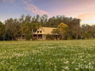 Lifestyle For Sale - NSW - Pokolbin - 2320 - SILVERPOINT ESTATE - A FIRST CLASS ADDRESS  (Image 2)