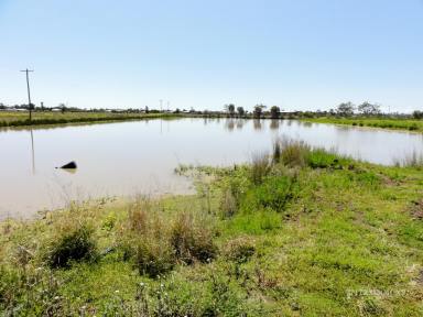 House For Sale - QLD - Dalby - 4405 - A UNIQUE PROPERTY - IMPROVED 64 ACRES ON THE EDGE OF DALBY WITH WATER!  (Image 2)