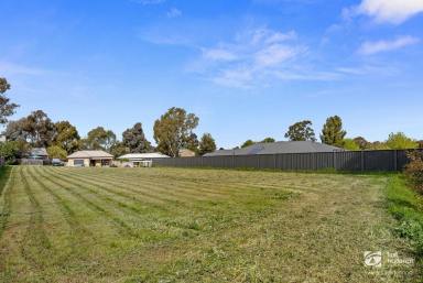 Residential Block For Sale - VIC - Sailors Gully - 3556 - One of the largest allotments available and ready to build on  (Image 2)