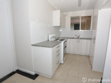 House For Lease - NSW - West Tamworth - 2340 - 4 Matheson Street  (Image 2)