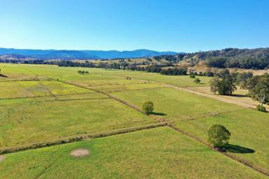 Mixed Farming Sold - NSW - Kyogle - 2474 - 335 ACRES - 150 BREEDER CAPACITY  (Image 2)