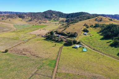 Mixed Farming Sold - NSW - Kyogle - 2474 - 335 ACRES - 150 BREEDER CAPACITY  (Image 2)