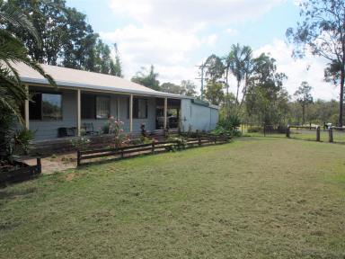 House For Sale - QLD - Cordalba - 4660 - HOUSE ON 1/2 AN ACRE  (Image 2)