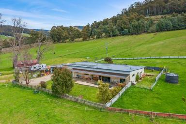 House Sold - TAS - Franklin - 7113 - Escape to a Rural Lifestyle  (Image 2)