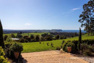 House For Sale - TAS - Mount Hicks - 7325 - Oh What A View! Stunning Location!  (Image 2)