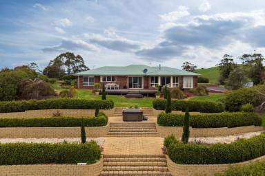 House For Sale - TAS - Mount Hicks - 7325 - Oh What A View! Stunning Location!  (Image 2)