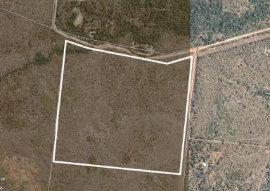 Other (Rural) Sold - QLD - Cooktown - 4895 - 80 acres of natural bushland with a seasonal creek  (Image 2)