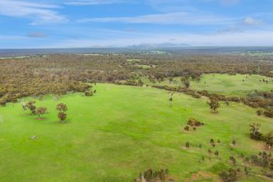 Lifestyle For Sale - VIC - Balmoral - 3407 - Blank Canvas Opportunity - Grazing | Lifestyle  (Image 2)