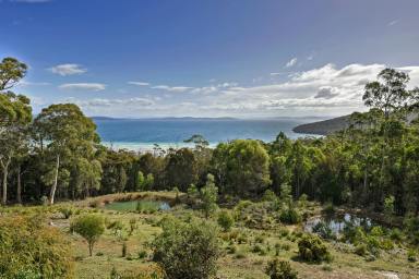 House For Sale - TAS - Taranna - 7180 - Spectacular water views on acreage offering lifestyle and income and so much more.  (Image 2)