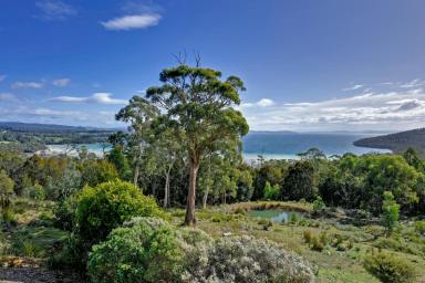 Other (Commercial) For Sale - TAS - Taranna - 7180 - 6 bedrooms all with their own bathroom ideal for small group accommodation on the Tasman Peninsula on approx. 41 acres with Sea views  (Image 2)