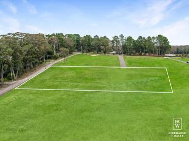 Residential Block For Sale - NSW - Wingello - 2579 - Affordable Land Opportunity in Wingello  (Image 2)