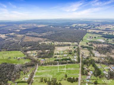 Residential Block For Sale - NSW - Wingello - 2579 - Over an acre.  (Image 2)