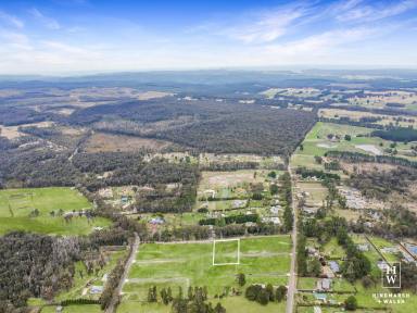 Residential Block For Sale - NSW - Wingello - 2579 - Affordable Land Opportunity in Wingello  (Image 2)