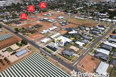 Residential Block For Sale - VIC - Irymple - 3498 - Irymple Park Estate - Stg 3 - Titles Available Now!  (Image 2)