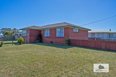 House For Sale - TAS - Smithton - 7330 - Investors or First Home Buyers look at this property!  (Image 2)