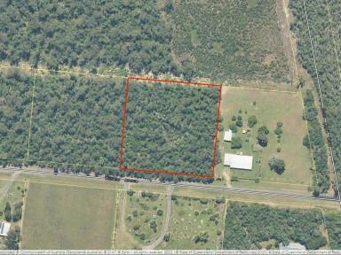 Residential Block For Sale - QLD - Cardwell - 4849 - BUILD YOUR DREAM HOME HERE  (Image 2)