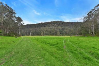 Lifestyle For Sale - NSW - Sweetmans Creek - 2325 - Peaceful Hidden Valley  (Image 2)