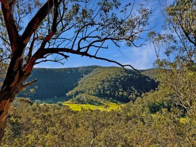 Lifestyle For Sale - NSW - Sweetmans Creek - 2325 - Rare Acreage with Building Envelope Approved in the Wollombi Valley  (Image 2)