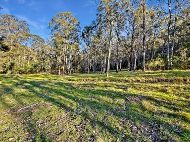 Lifestyle For Sale - NSW - Sweetmans Creek - 2325 - Rare Acreage with Building Envelope Approved in the Wollombi Valley  (Image 2)