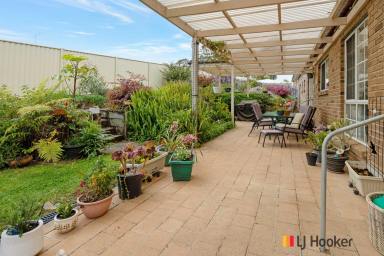 House Sold - NSW - Surf Beach - 2536 - Larger Than Your Average Block!  (Image 2)