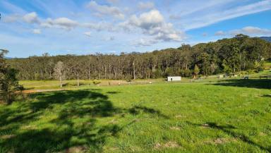 Residential Block For Sale - NSW - Bonville - 2450 - Magical Bonville - Build Your Dream Home Here!  (Image 2)