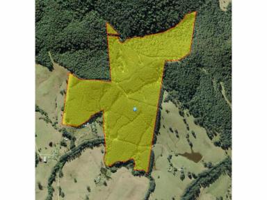 Lifestyle For Sale - NSW - Wootton - 2423 - STUNNING 140 ACRES IN WOOTTON WITH FORESTRY LEASE IN PLACE  (Image 2)