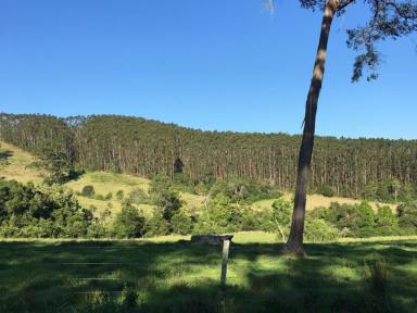 Lifestyle For Sale - NSW - Wootton - 2423 - STUNNING 140 ACRES IN WOOTTON WITH FORESTRY LEASE IN PLACE  (Image 2)