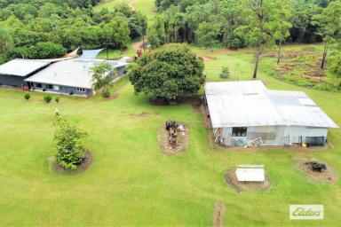 House For Sale - QLD - Dingo Pocket - 4854 - Peace and Seclusion with Incredible Views!!!  (Image 2)