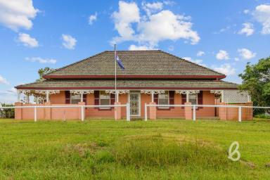 Other (Rural) For Sale - NSW - Singleton - 2330 - PRIME AGRICULTURAL HOLDING | 90.4AC  (Image 2)
