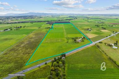 Other (Rural) For Sale - NSW - Singleton - 2330 - PRIME AGRICULTURAL HOLDING | 90.4AC  (Image 2)