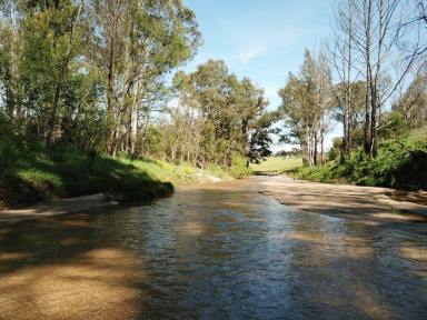 Residential Block For Sale - NSW - Cobargo - 2550 - 4 lots, one price!  (Image 2)