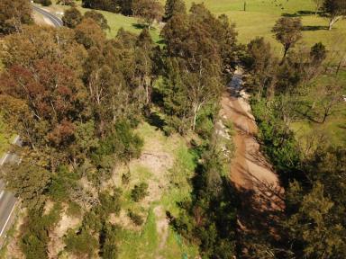 Residential Block For Sale - NSW - Cobargo - 2550 - 4 lots, one price!  (Image 2)