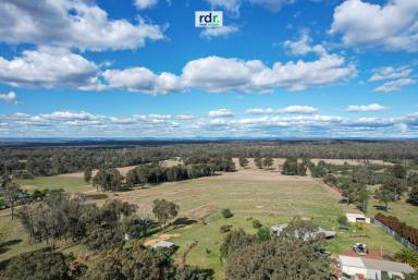 Livestock Sold - NSW - Inverell - 2360 - "WOTCMAJIG" - WHAT MORE COULD YOU WANT?  (Image 2)