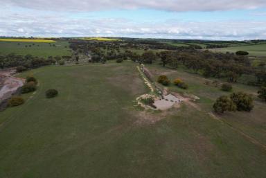 Other (Rural) Sold - WA - Beverley - 6304 - Welcome to Primrose farm where your Rural dream awaits you  (Image 2)