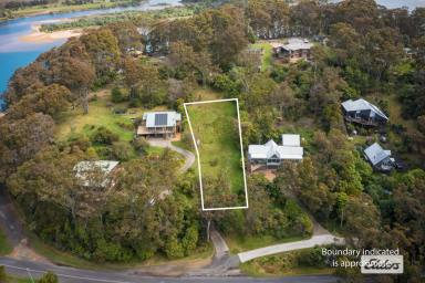 Residential Block For Sale - NSW - Mogareeka - 2550 - Rare Find Indeed  (Image 2)
