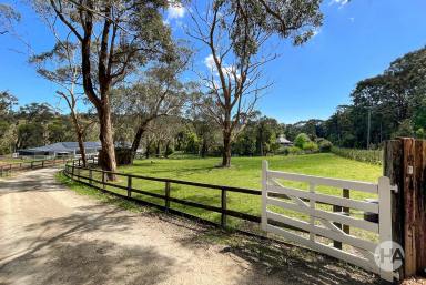 Acreage/Semi-rural Sold - VIC - Red Hill - 3937 - ‘Barrington Manor’ Stunning contemporary farmhouse on 5.5 acres  (Image 2)