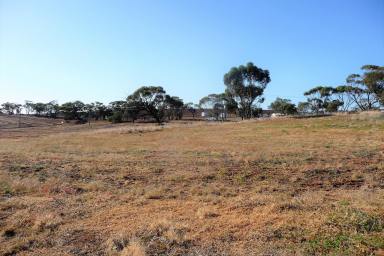 Residential Block For Sale - WA - York - 6302 - A Perfect Location  (Image 2)
