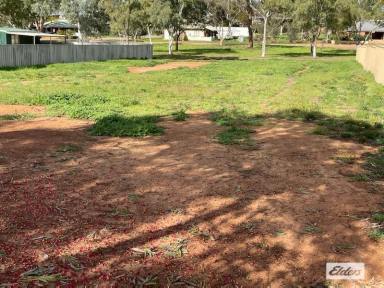 Residential Block Sold - WA - Quairading - 6383 - Reduced  to $20,000  (Image 2)