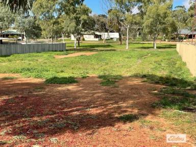 Residential Block Sold - WA - Quairading - 6383 - Reduced  to $20,000  (Image 2)