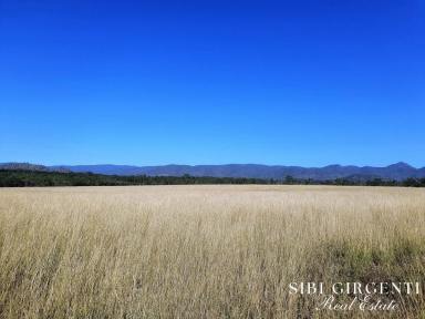 Cropping For Sale - QLD - Dimbulah - 4872 - Start fresh on the Walsh  (Image 2)