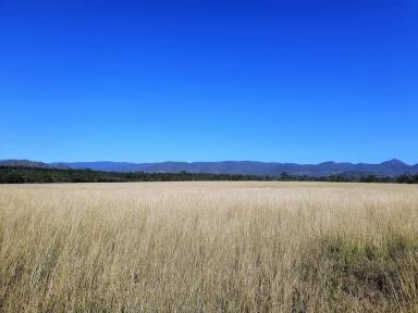 Cropping For Sale - QLD - Dimbulah - 4872 - Start fresh on the Walsh  (Image 2)