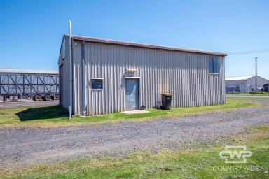 Industrial/Warehouse For Lease - NSW - Glen Innes - 2370 - Commercial Shed with Easy Access  (Image 2)