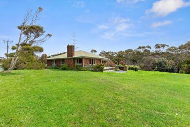 House Sold - VIC - Marengo - 3233 - MARENGO DREAMING  (Image 2)