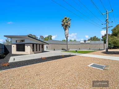 Office(s) For Sale - VIC - Wangaratta - 3677 - ROCK SOLID REAL ESTATE  (Image 2)
